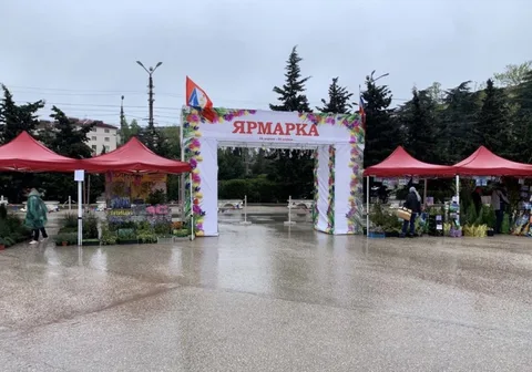 Фото галереи
