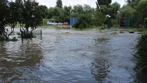 Фото галереи