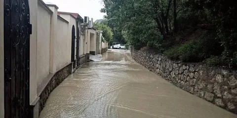 Фото галереи