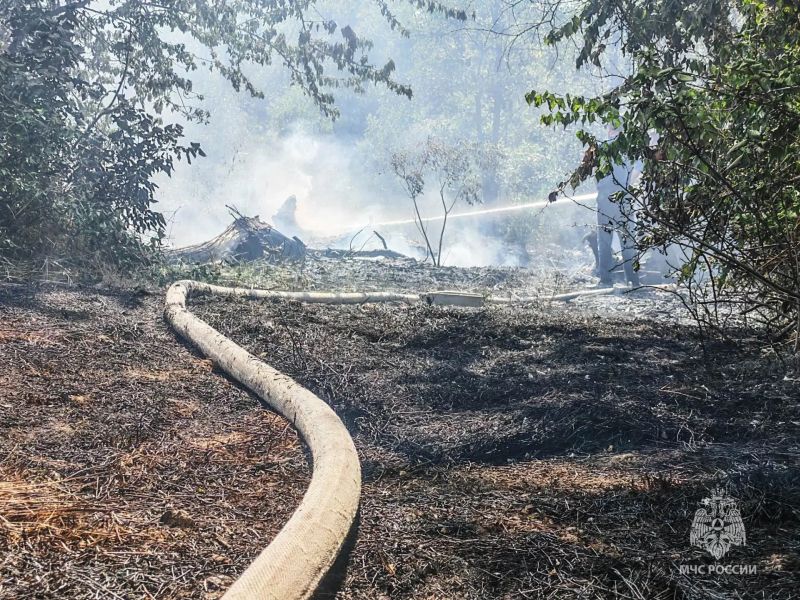 За неделю в Крыму 73 раза горела сухая растительность