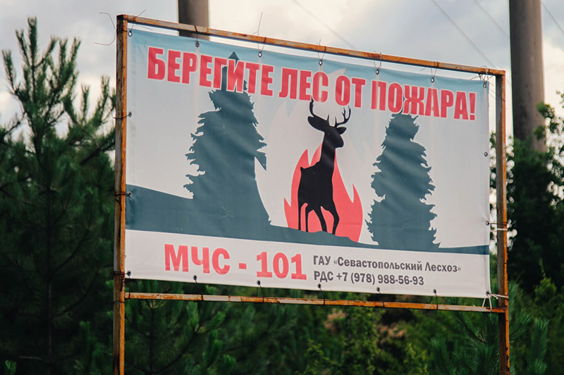 В Севастополе на 21 день продлили запрет на посещение лесов