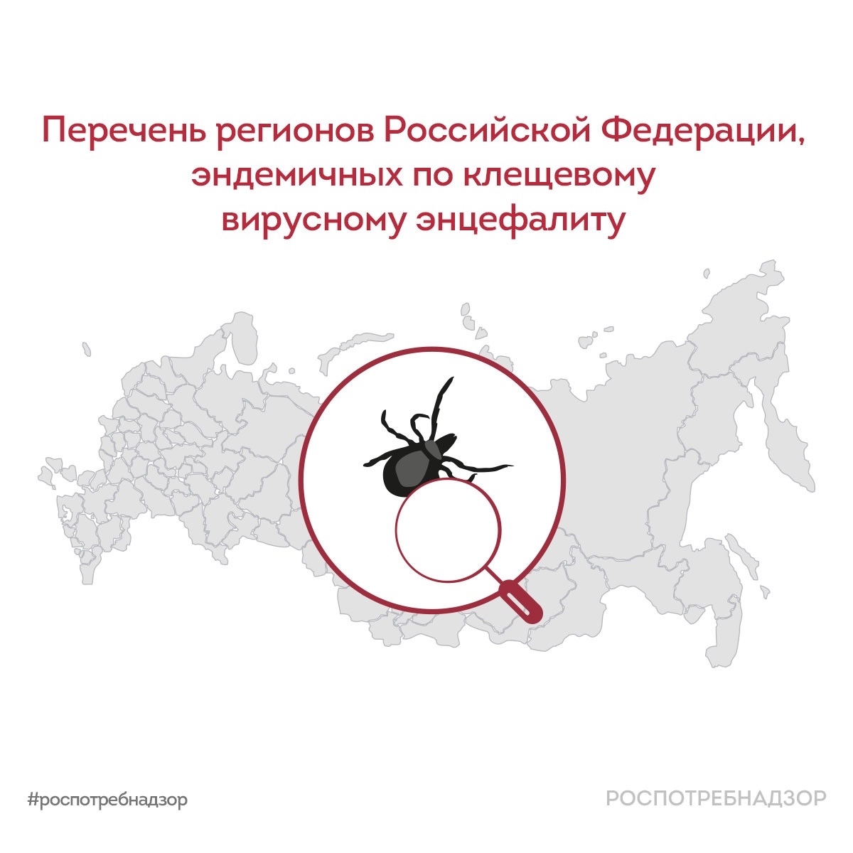 Севастополь и Крым вошли в список эндемичных регионов РФ по клещевому энцефалиту