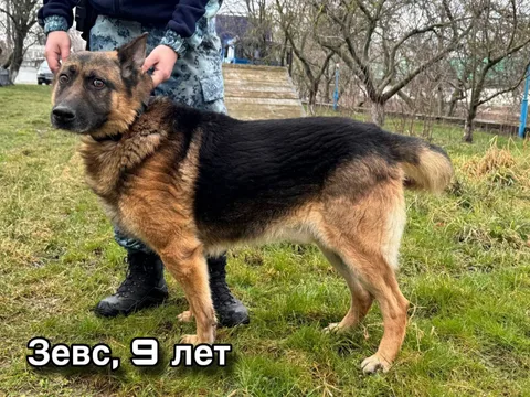 Фото галереи
