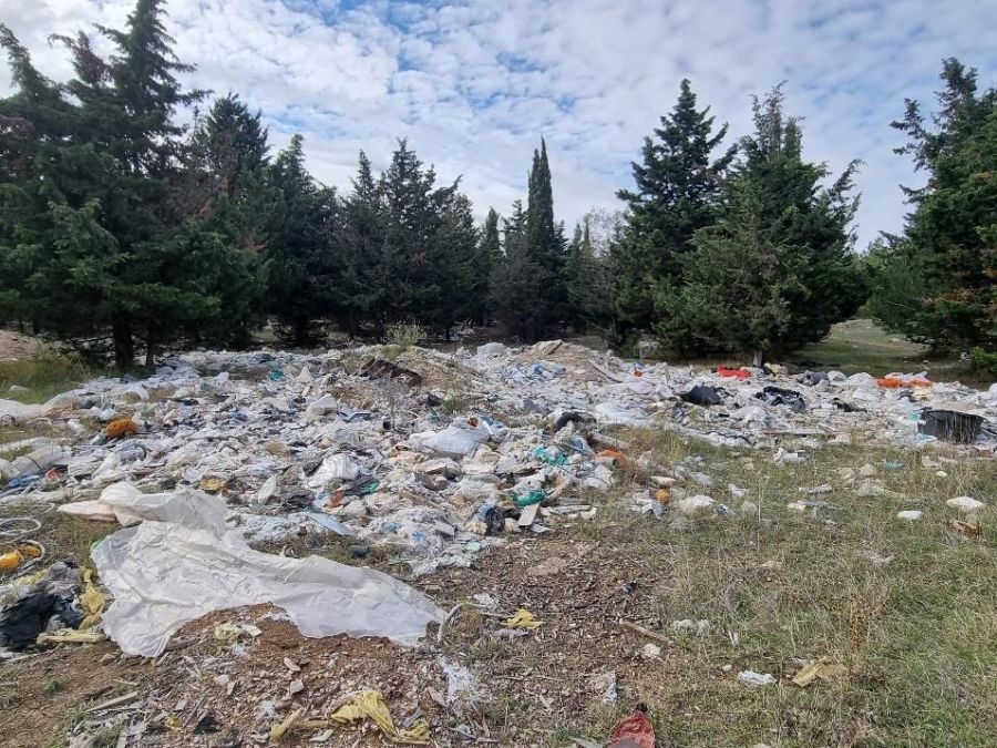 Рядом с севастопольским лесом убрали несанкционированную свалку (ФОТО)