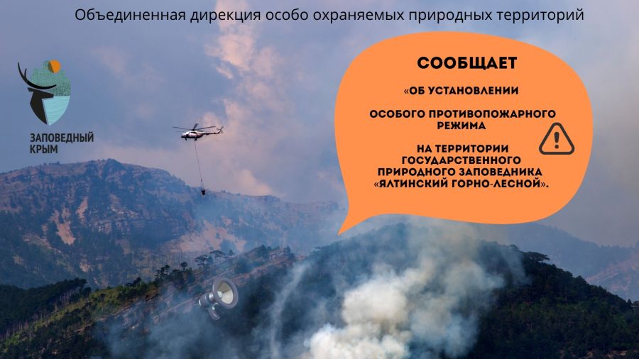 Часть троп и маршрутов Ялтинского заповедника закрыли для посещения