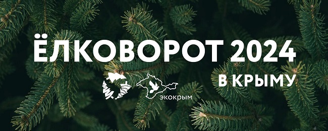 Когда и куда можно сдать новогоднюю елку в Симферополе