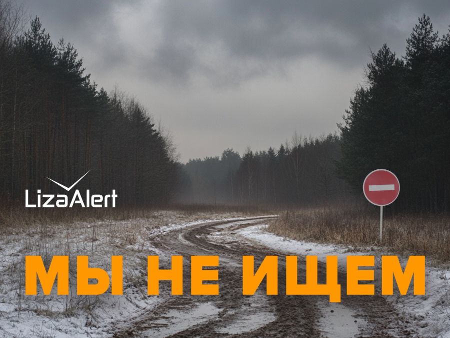 В «Лиза Алерт» предупредили о действующих от имени отряда мошенниках 