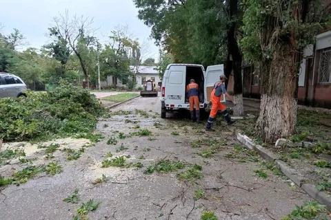 Фото галереи