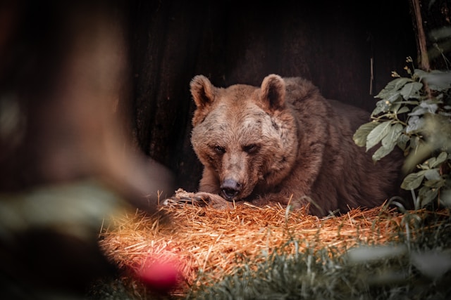 Сегодня – Василий Парильщик