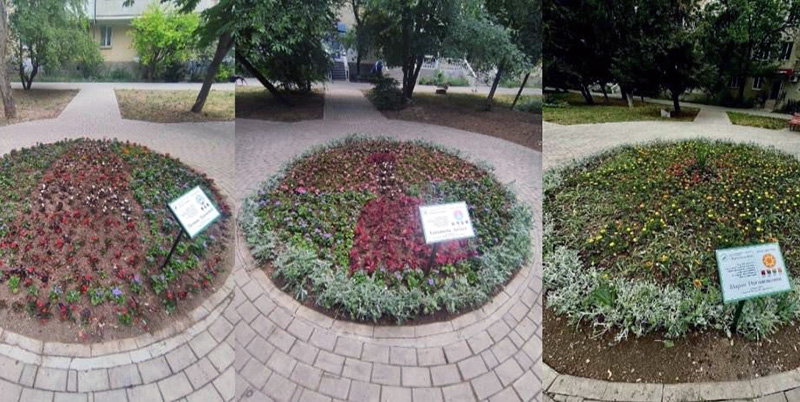 Детский конкурс по дизайну городских клумб стартовал в Севастополе