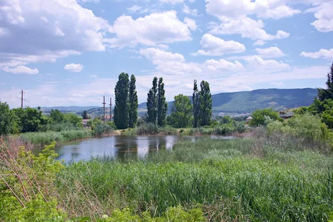 Фото галереи