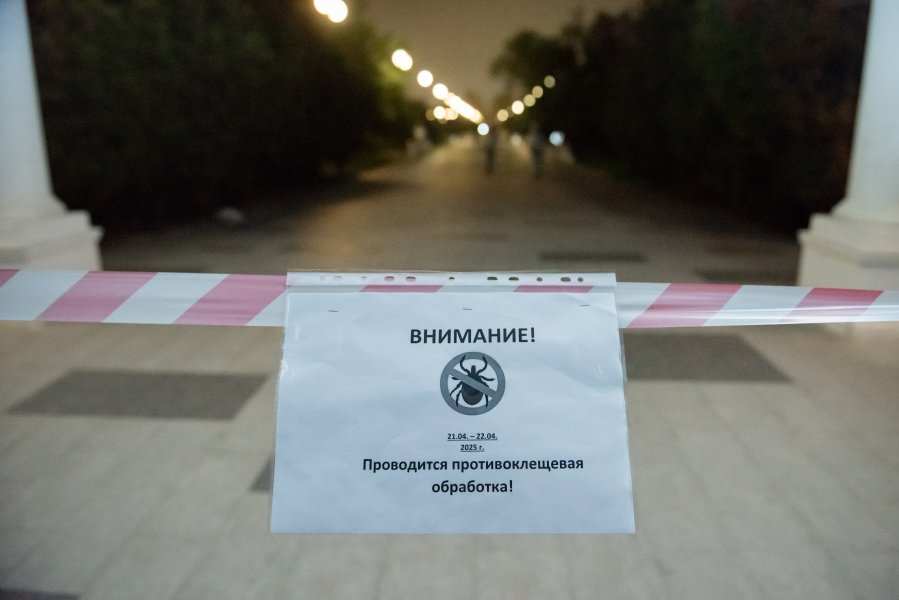 33 случая заболевания клещевым боррелиозом выявили в Крыму и Севастополе 