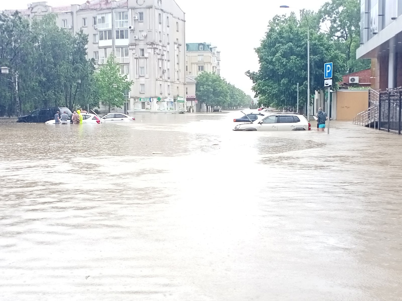 Фото галереи