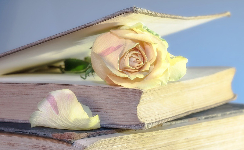14 февраля: Международные дни книгодарения, компьютерщика, День святого Валентина
