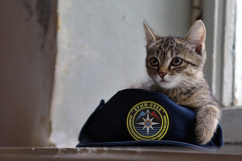 Крымские спасатели оказали помощь запаниковавшей женщине на горе Караул-Оба (ВИДЕО)
