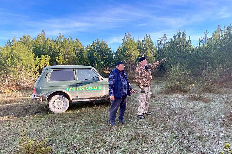 В Севастополе стартовала профилактическая операция «Новогодняя ель»