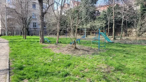 Фото галереи