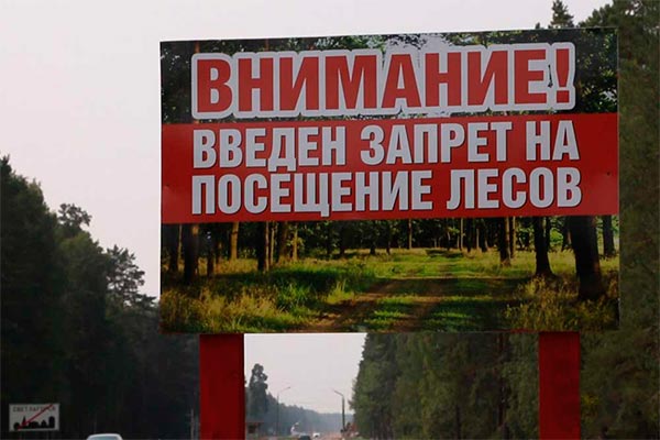 Очередной противопожарный рейд в лесах Севастополя не выявил нарушителей