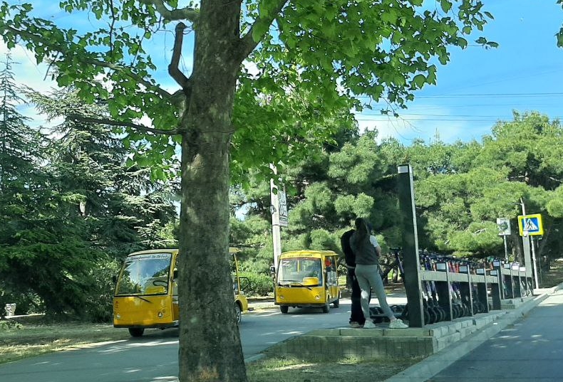 Суд окончательно запретил перевозку пассажиров электромобилями в парке Победы