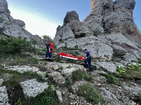 Фото галереи