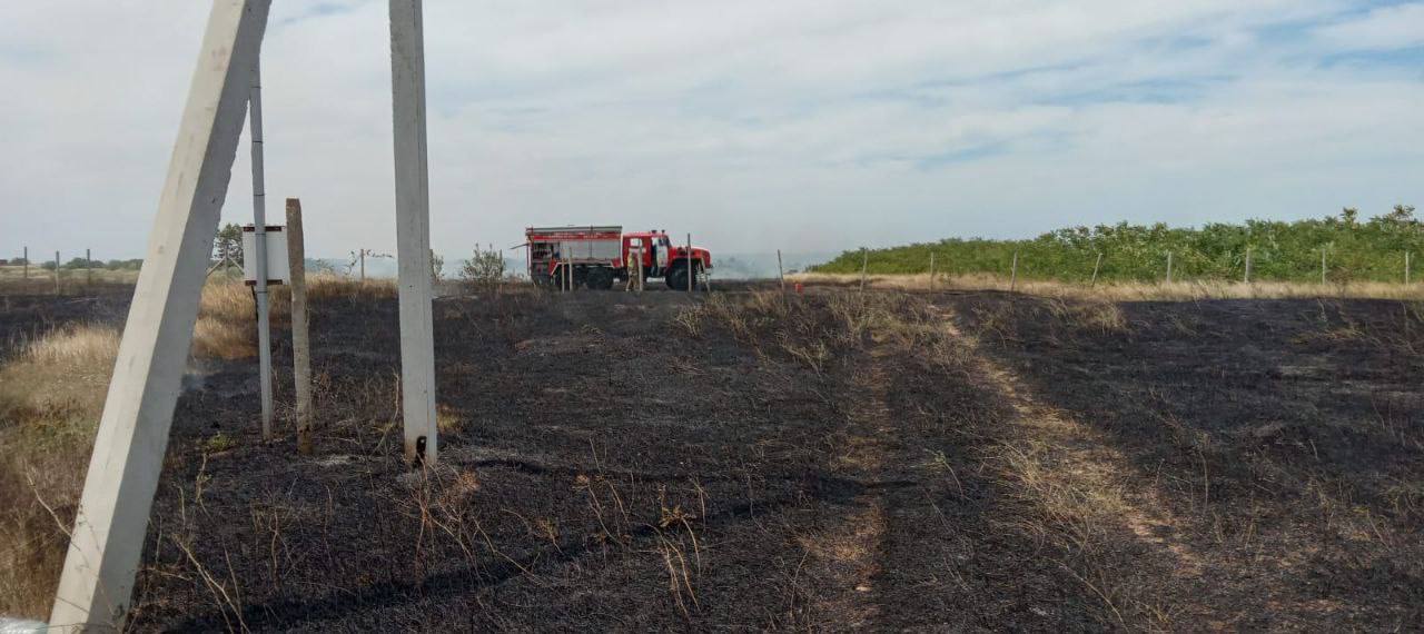 Возгорание сухой растительности на Северной стороне Севастополя полностью потушили