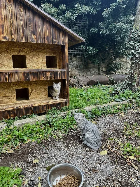 Фото галереи