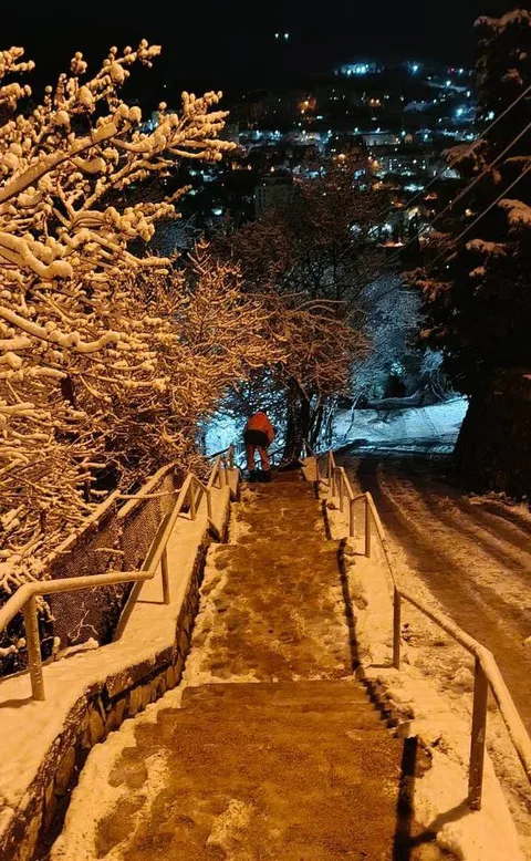 Фото галереи