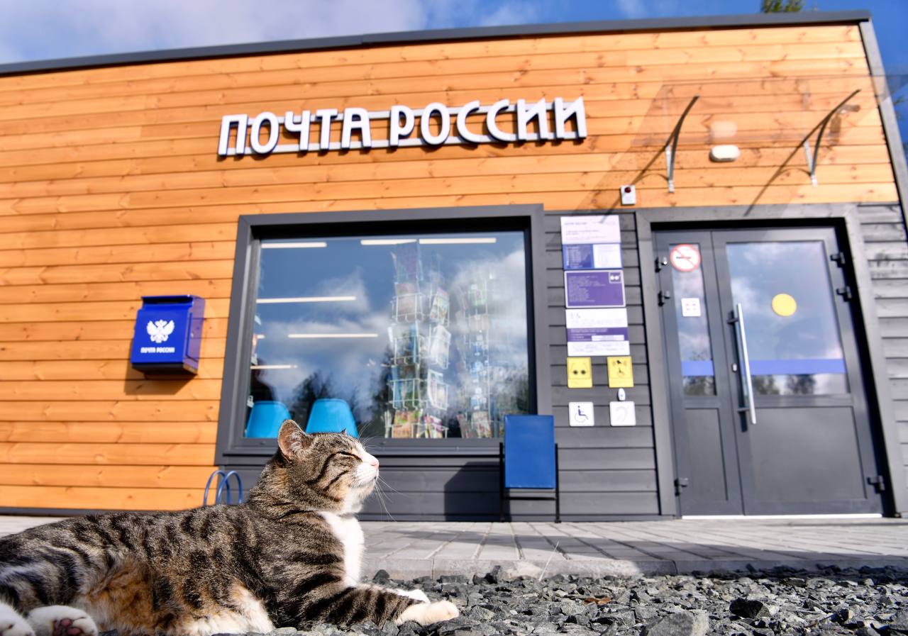 Налоговая отчетность, переданная через интернет-сервис «Почта России», не считается принятой