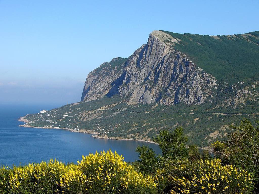 В районе пляжа Инжир горит лес после падения обломков от сбитых беспилотников 
