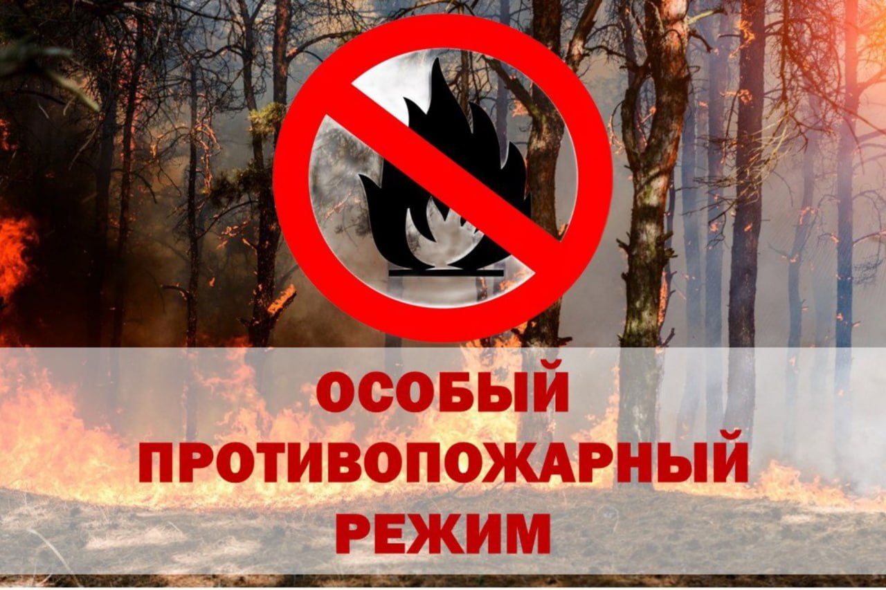 Особый противопожарный режим вводится в Крыму