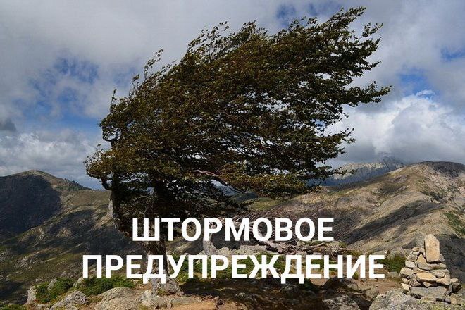 МЧС объявило штормовое предупреждение из-за сильного ветра на ЮБК