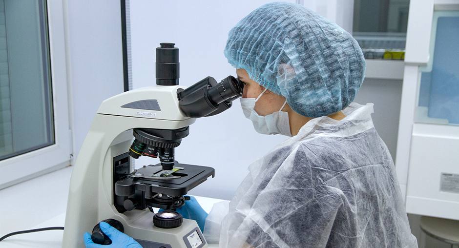 Семена крымского табака проверили на качество в лаборатории