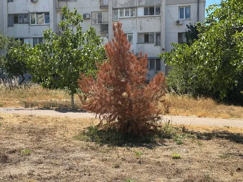Фото галереи