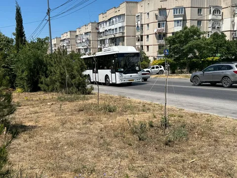 Фото галереи