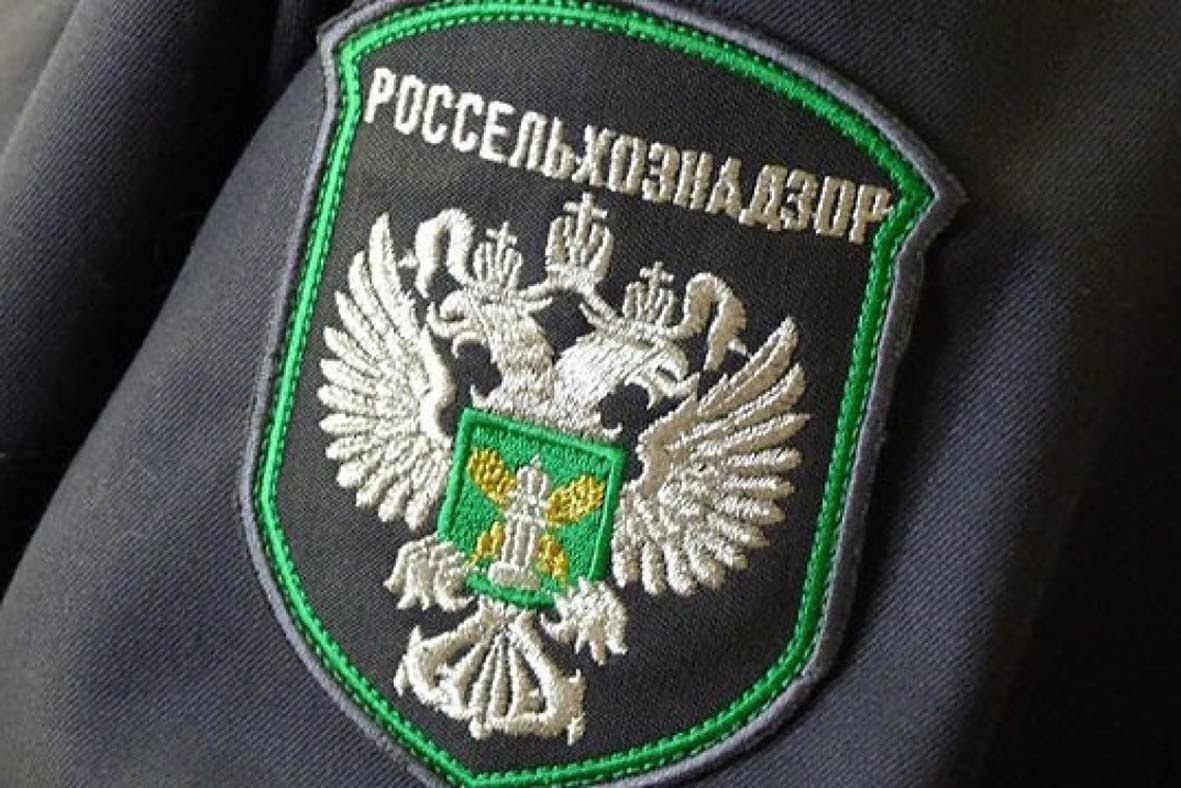 В севастопольском магазине нашли 26 кг «просрочки» и 50 кг продуктов без маркировки
