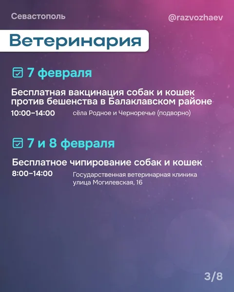 Фото галереи