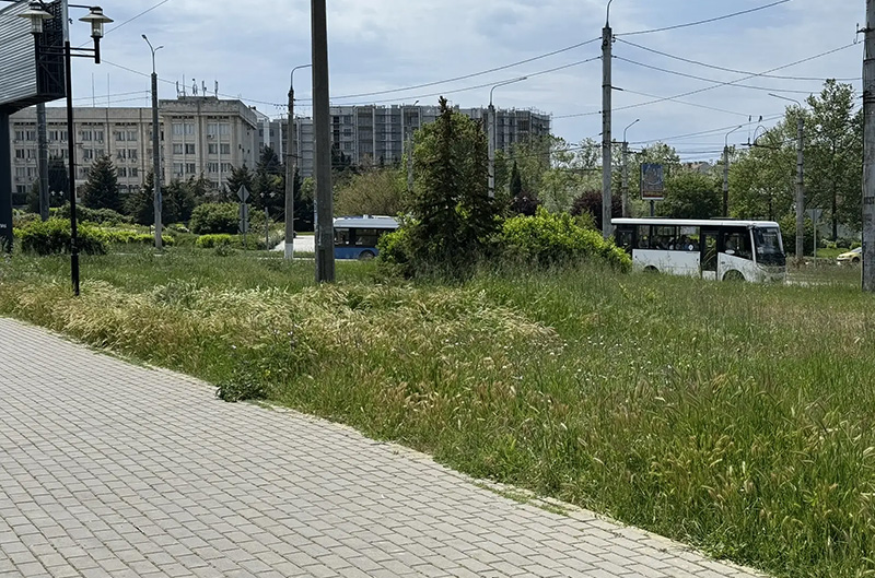 Севастополь превратился в «дальнюю станцию» — трава по пояс!