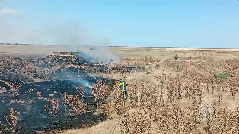 В Советском районе Крыма горела сухая растительность на площади в 2 га