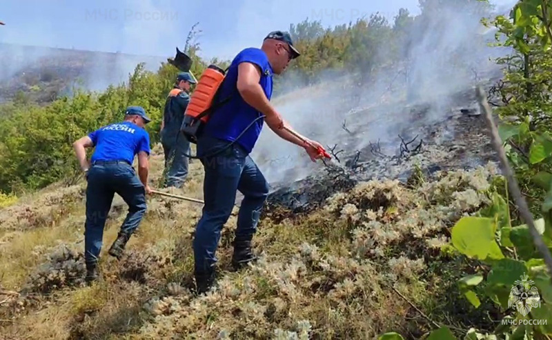В Крыму локализован лесной пожар у горы Агармыш на площади 4 га (видео)