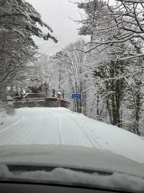 Фото галереи