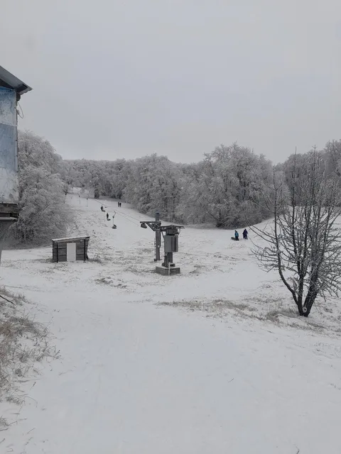 Фото галереи