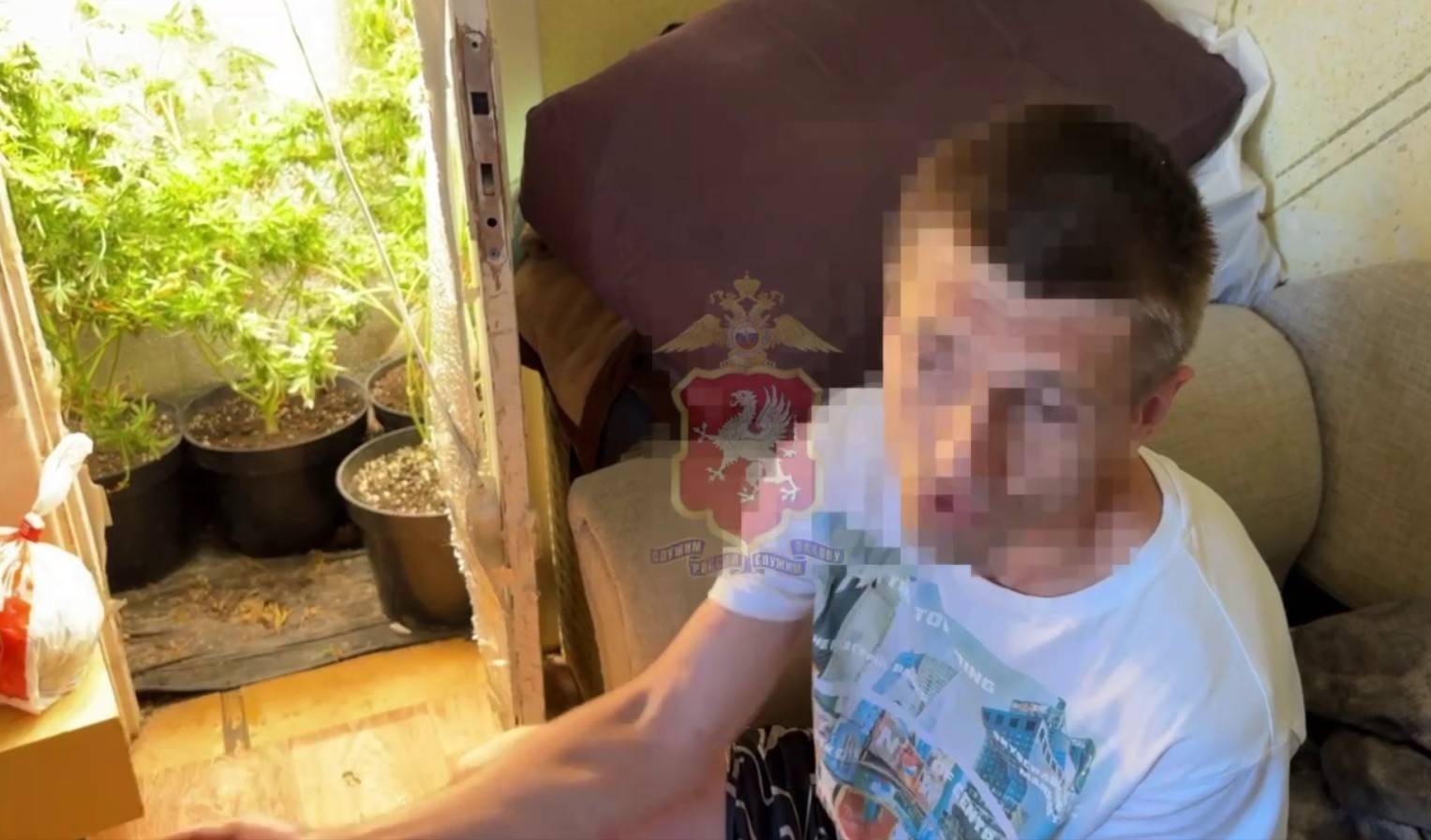 34-летний севастополец оборудовал в квартире парник с коноплёй (видео)