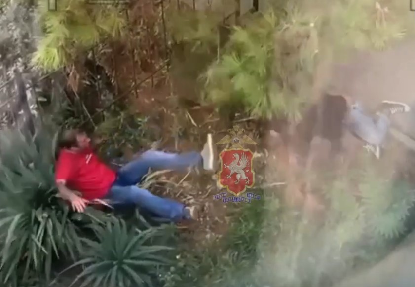 Пьяный севастополец из-за замечания избил случайного прохожего (видео)