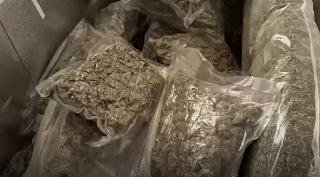 У жителя Симферопольского района обнаружили почти 24 кг марихуаны