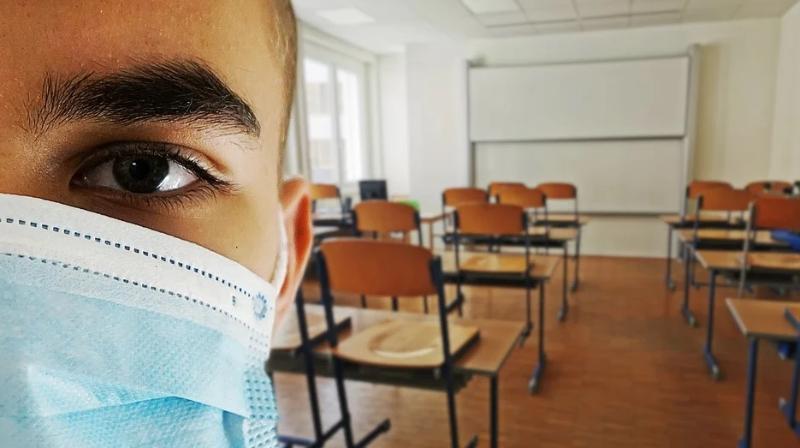 В Севастополе из-за ОРВИ на «дистанционку» ушли уже четыре школы, еще 14 — готовятся уйти завтра