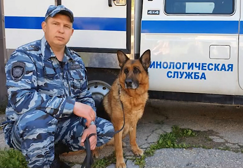 21 июня: Дни кинолога МВД, селфи, йоги, скейтбординга, гуманизма и гидрографии