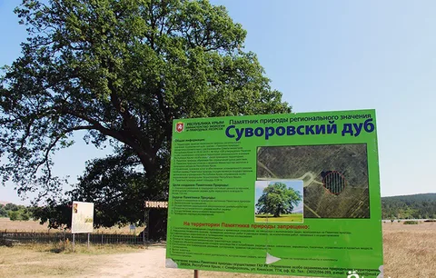 Фото галереи