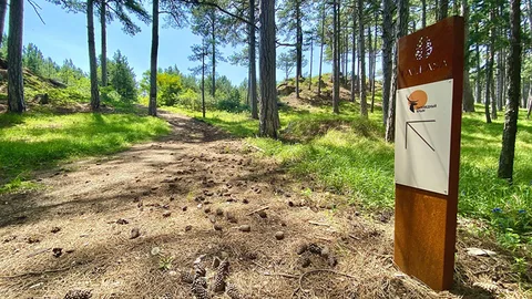Фото галереи