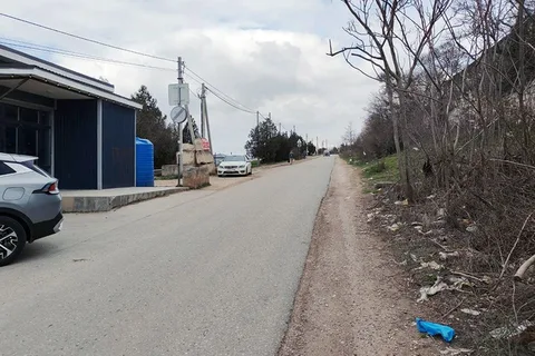 Фото галереи