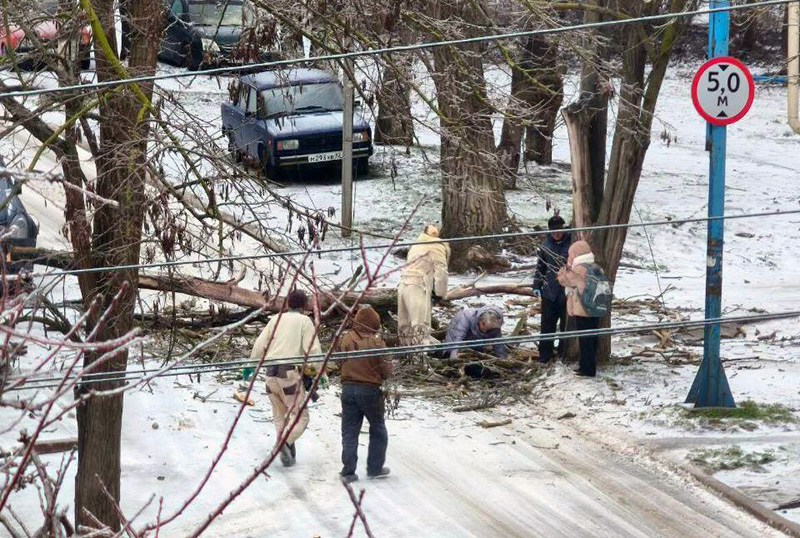 В Керчи на женщину упало дерево — Следком и прокуратура начали проверку